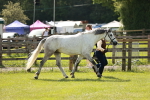 SBM_01703
