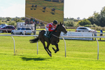 300926-Race 1-Bladey Lady-5840