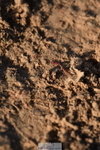 231015A-092316-06692