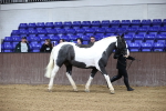 SBM_5254
