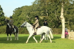 SBM_59871