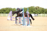 SBM_001017