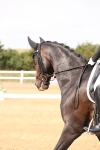SBM_001918