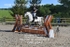 BPP_8547