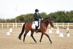SBM_008631