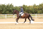 SBM_000774