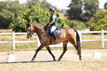 SBM_009478