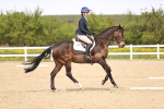 SBM_008030