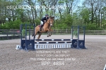 BPP_4884
