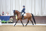 SBM_003957