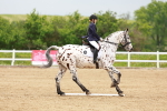 SBM_005926