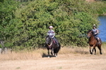 WJ6_7887