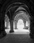 Arches and Light