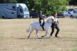 WJ6_7833