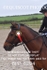 BPP_6294