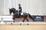 Class 3 - Novice 4 portfolio