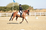 SBM_016934