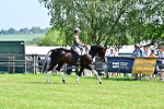 SBM_12216