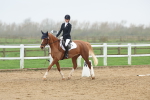 SBM_003274
