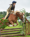 Dunblane show-426