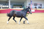 SBM_04144