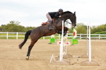 SBM_002769