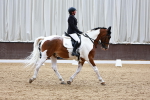 SBM_001675