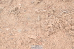 260923B-131954-00351