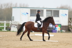 SBM_000794