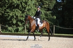 176-TENZ-Will_Rawlin-WEDTrotUp+DR portfolio