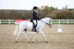 SBM_004564