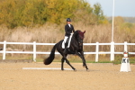 SBM_009379