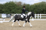 SBM_002176