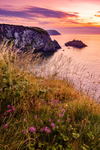 Cat Rock Newport 2 Pembrokeshire