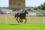 260826-Race 2-Lady Gormire-2370