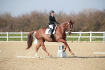 SBM_008557