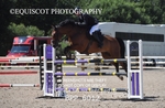 CLASS 8 1.30M portfolio