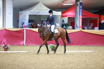 SBM_06463