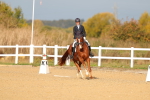 SBM_009337