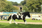 SBM_67581