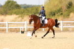 SBM_018596