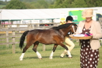 SBM_10587