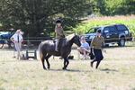 WJ6_7954