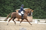 Cls 10, FEI Inter I SILVER portfolio