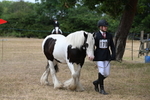 WJ6_7987