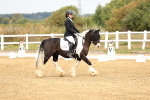 SBM_012339