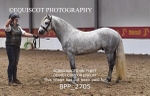 BPP_2705