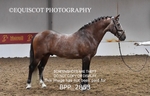 BPP_2853