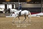 BPP_1729