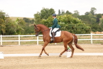SBM_000919